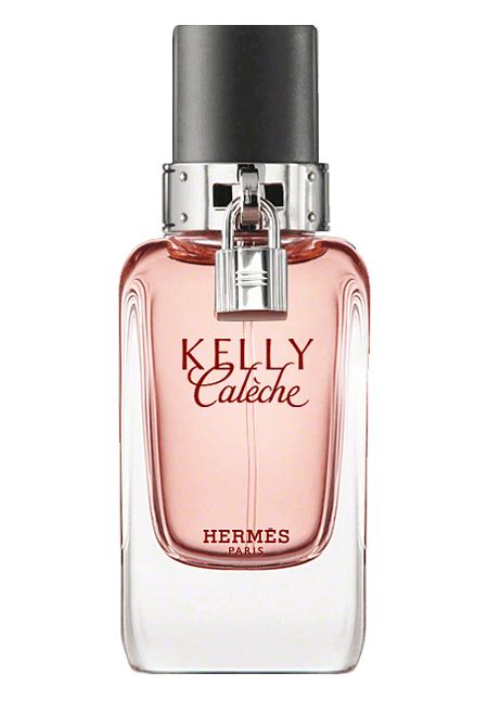 kelly caless perfume